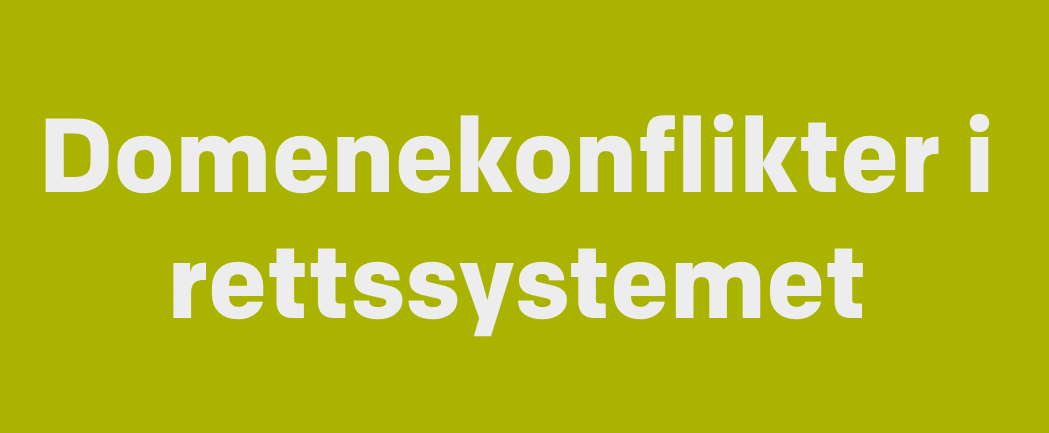 Veileder: domenekonflikter i rettssystemet