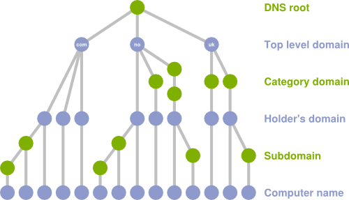 obligatorisk Auckland Uddybe This is how the domain name system works – Norid